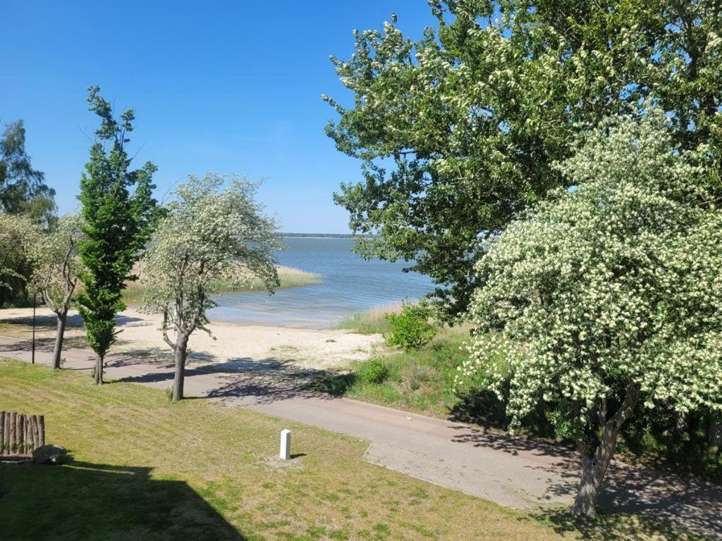 Baltic Lagoon Resort Direkt Am Meer Fuhlendorf  Экстерьер фото